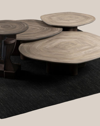 The specials coffee table