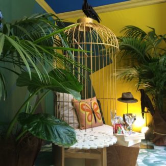 Vitrine d'été chez Ressource. Actualité Claude Cartier décoration architecte d'intérieur à Lyon.